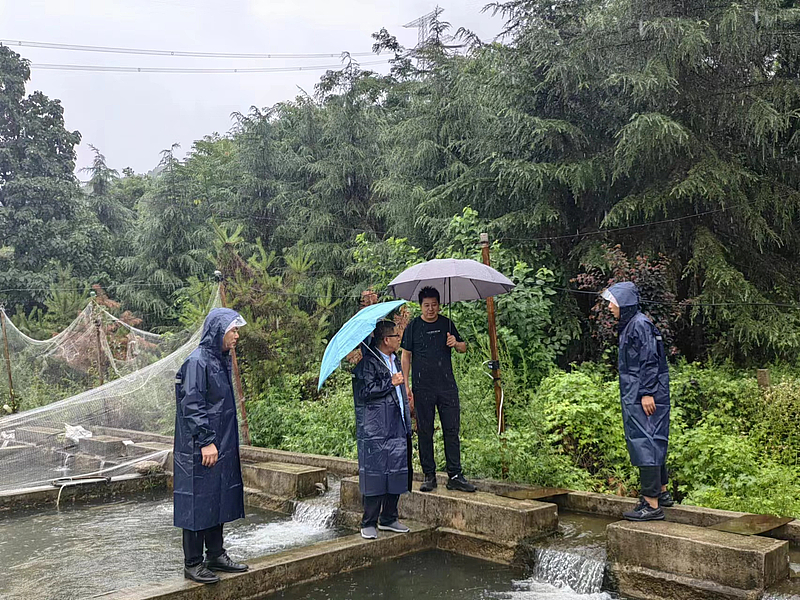 臨渭區(qū)水產(chǎn)工作站強化風(fēng)險管控   扎實做好漁業(yè)汛期生產(chǎn)指導(dǎo)工作